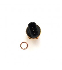 Pressure sensor 21291011